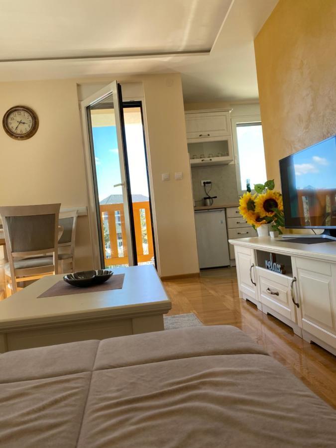 Apartment Lux Nena 29 - *